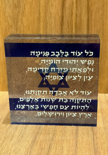 Decorative plaque with Star of David and Hebrew text on a wooden background